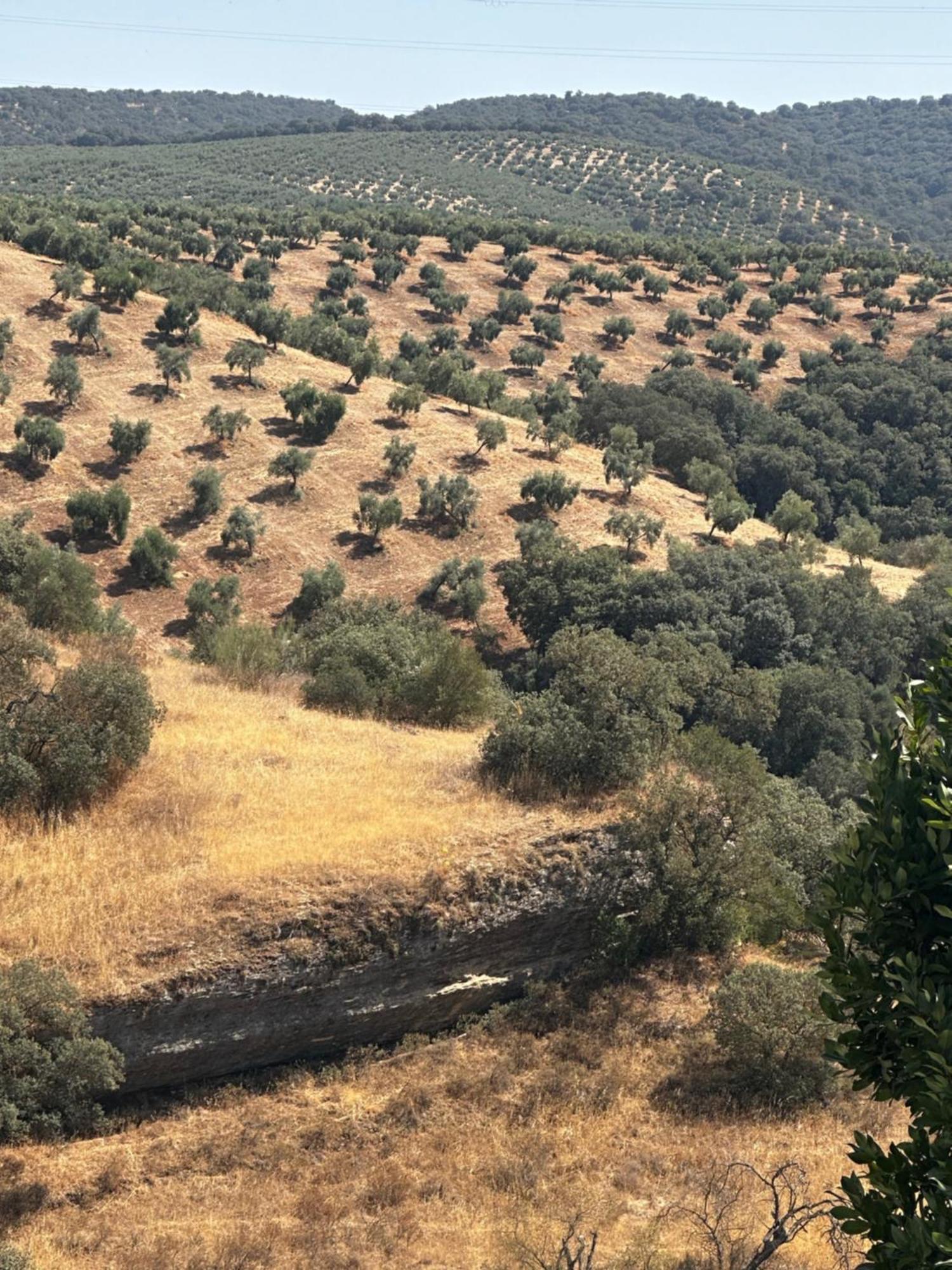Willa Casa Amapola Setenil De Las Bodegas Zewnętrze zdjęcie
